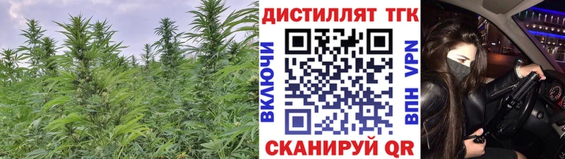гидра ТОР  Сурск  ТГК вейп с тгк 