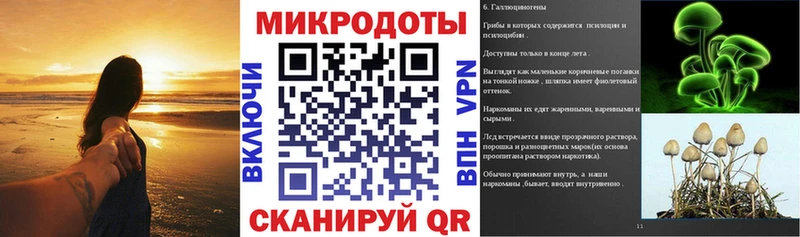 кракен рабочий сайт  Сурск  Галлюциногенные грибы прущие грибы 